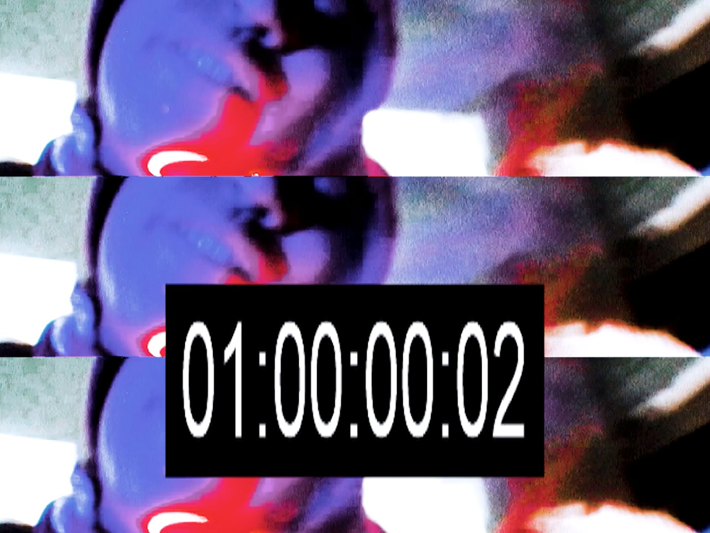 Novel Friday - Double Down